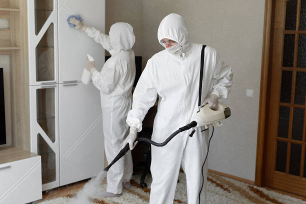 24/7 Emergency Odor Removal experts in Bellevue, PA